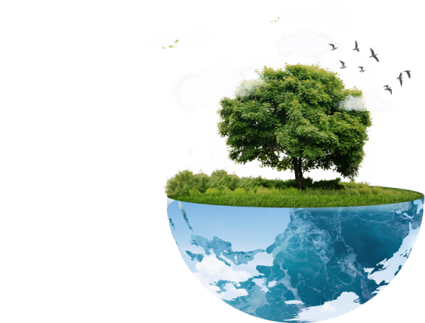 A tree growing from the Earth
